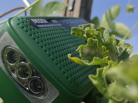 德劲收音机,中央国际广播电台华语环球广播粤语电台