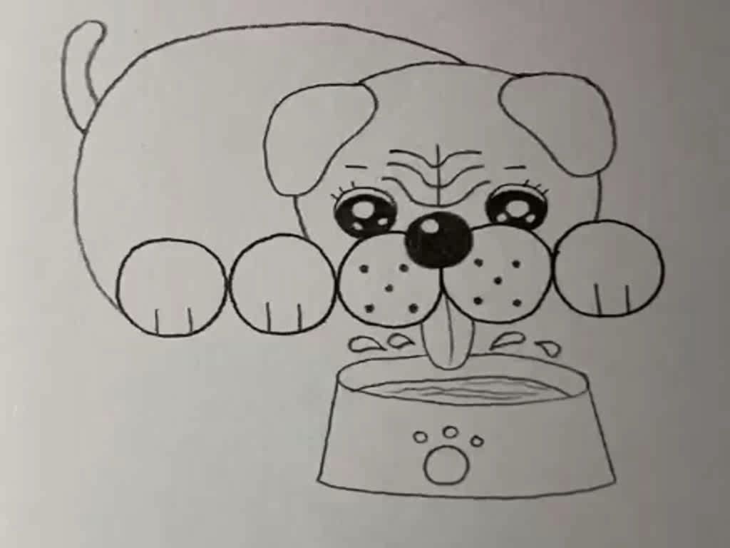 狗喝水简笔画图片