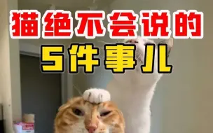 Download Video: 猫打死也不会告诉你的5件事儿