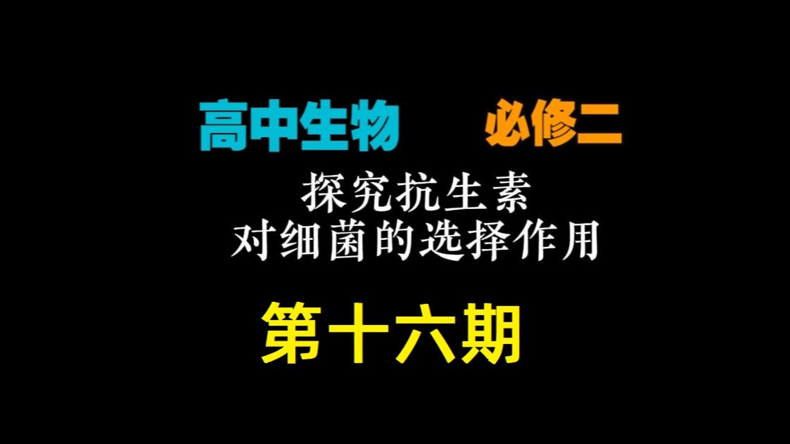 高中生物实验 | 探究抗生素对细菌的选择作用哔哩哔哩bilibili