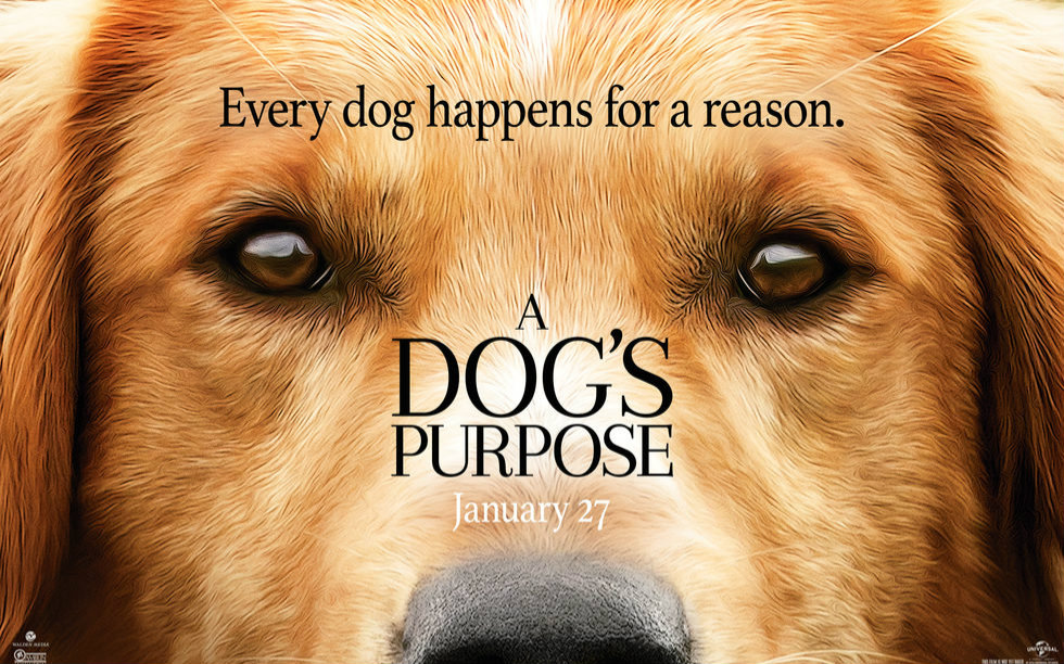 [图]一条狗的使命 A Dog's Purpose (2017)