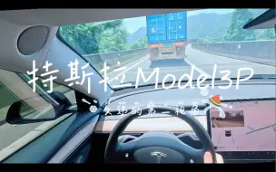 Video herunterladen: 特斯拉Model3P｜第一视角｜高速公路降血压｜GoPro11