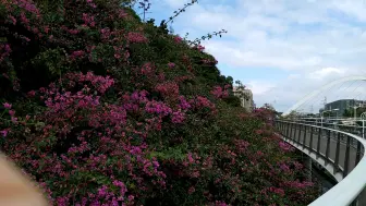 Скачать видео: 厦门山海健康步道