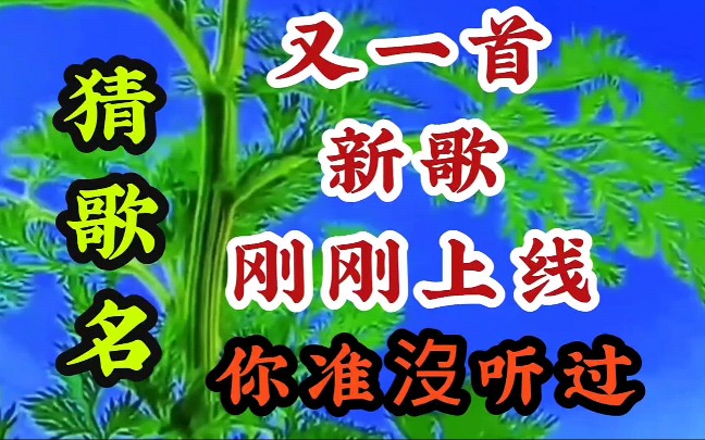 [图]又一首新歌刚刚上线抢先听《风干了誓言 》你准没听过