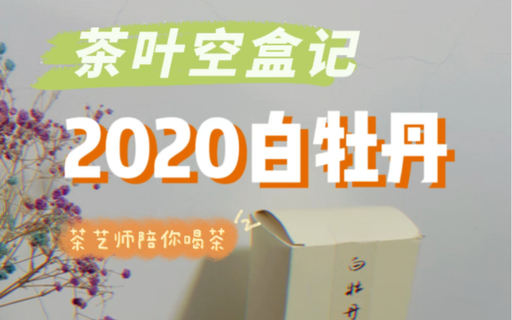 茶叶空盒记|2020白牡丹(含购买渠道及冲泡流程)适合职场人士喝的品质白茶哔哩哔哩bilibili