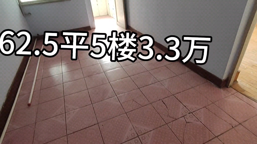 111#阜新买房#鹤岗买房#凌海市金城街道62.4平3.3万哔哩哔哩bilibili