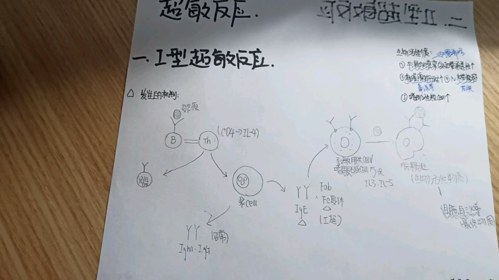 超敏反正中的过敏反应作用机制以及知识点哔哩哔哩bilibili