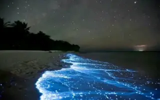 星空海 哔哩哔哩 Bilibili
