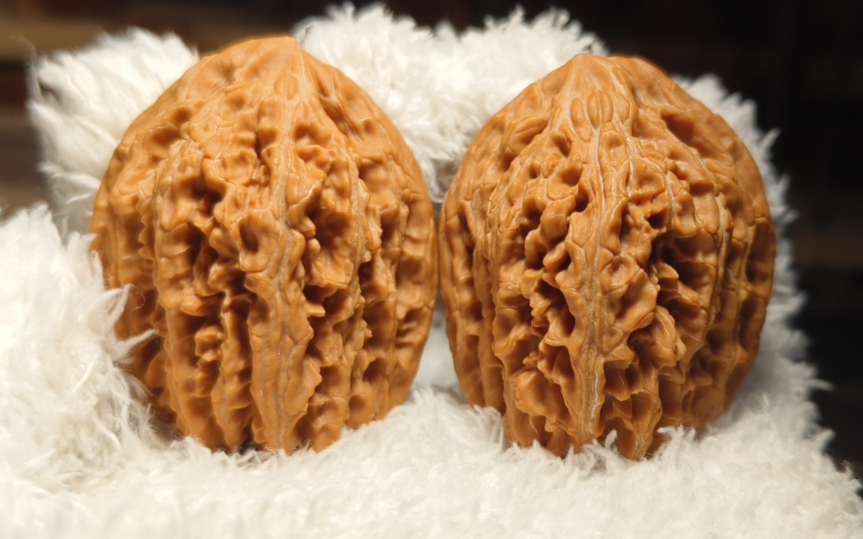 拍对毕业级 九龙筋