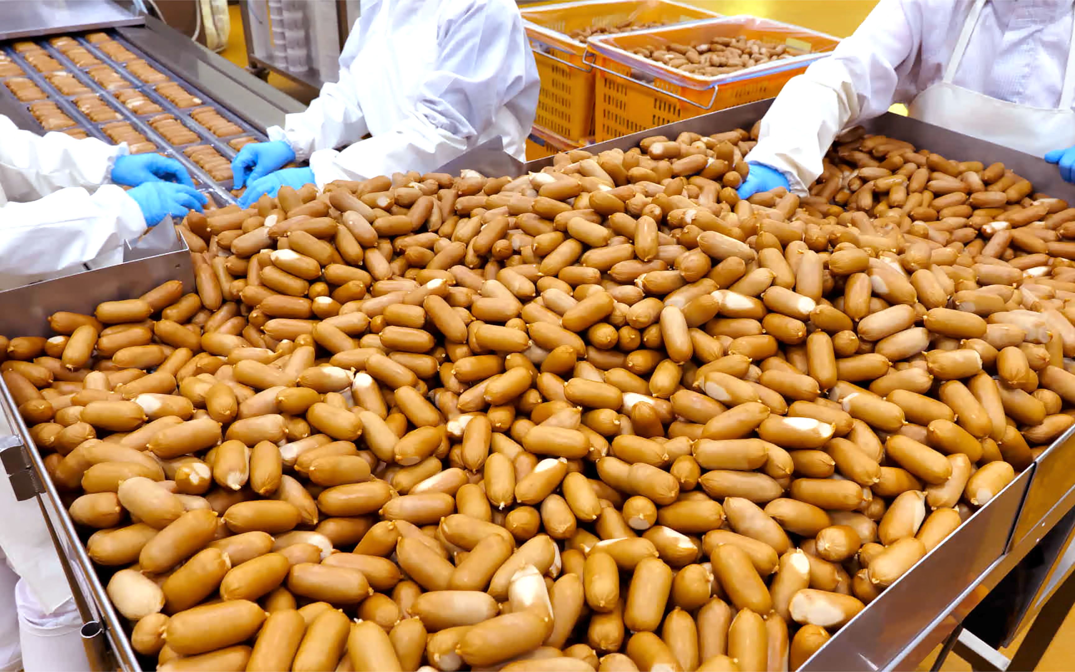 大开眼界!实拍火腿肠生产全过程,看完你还敢经常吃吗?