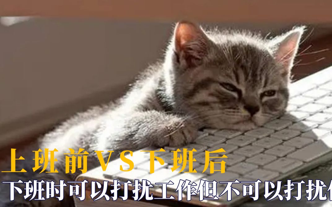 上班前vs下班后这状态是我本人没错了