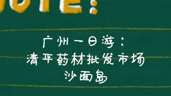 广州一日游:清平药材批发市场and 沙面岛哔哩哔哩bilibili