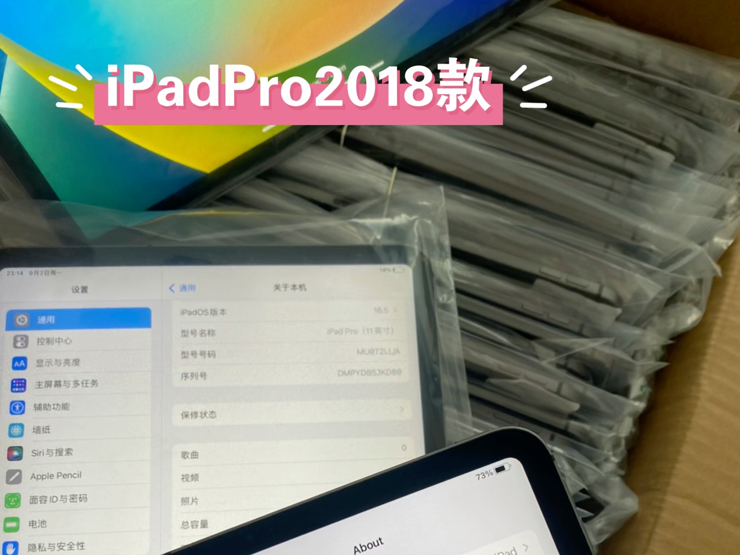 iPad Pro2018款11寸256g 插卡版 外观靓 a12x处理器,高刷屏幕,面容解锁,四个扬声器,游戏,追剧机型哔哩哔哩bilibili