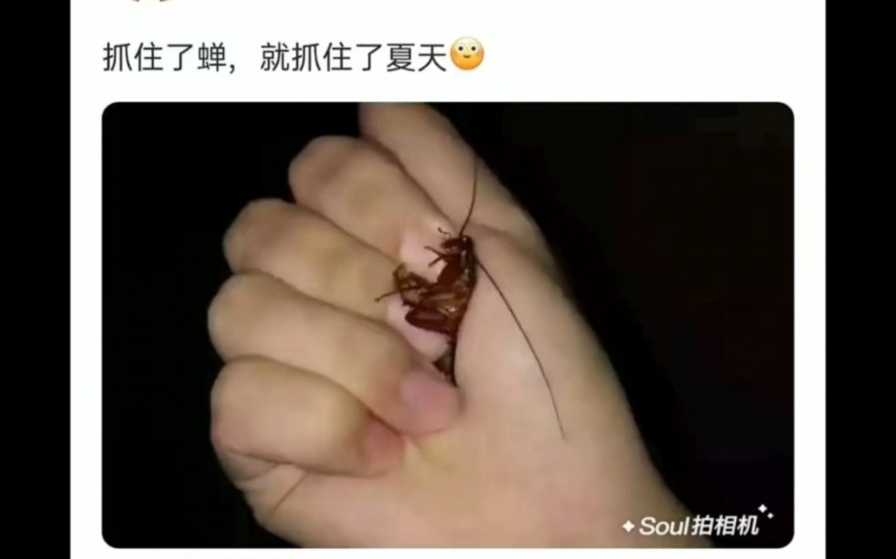 骚断腿的屌图43哔哩哔哩bilibili