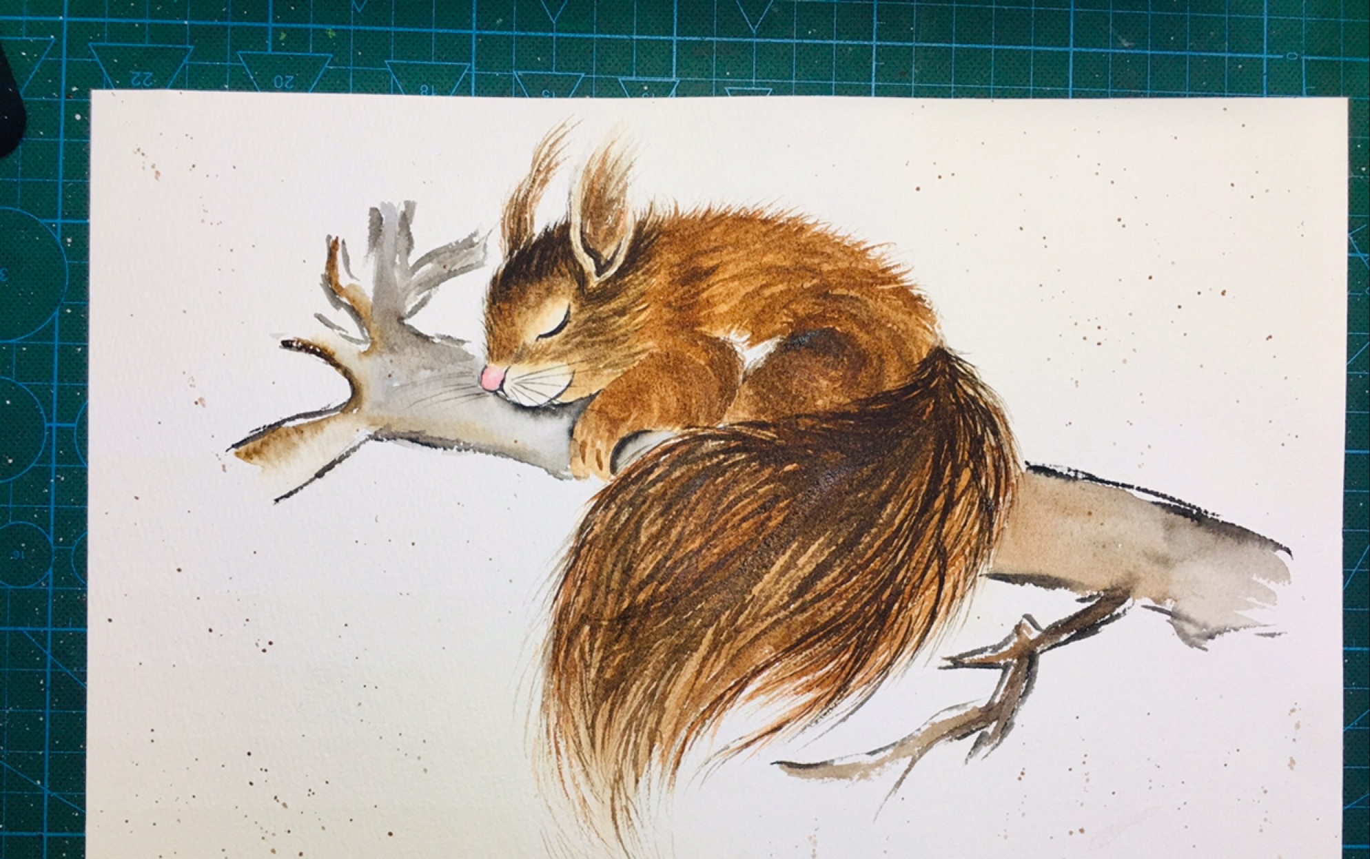 水彩动物上色—松鼠_哔哩哔哩 (゜-゜)つロ 干杯~-bilibili