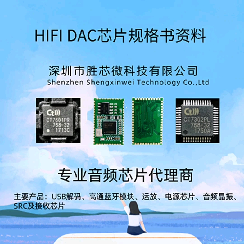 【HIFI DAC 芯片】胜芯微公司主推的DAC品牌:ESS,AKM,CIRRUS LOGIC等哔哩哔哩bilibili