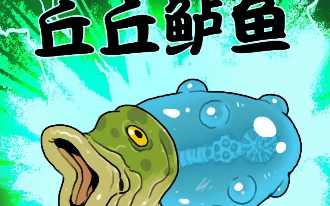 弱智吧吧主竞选视频