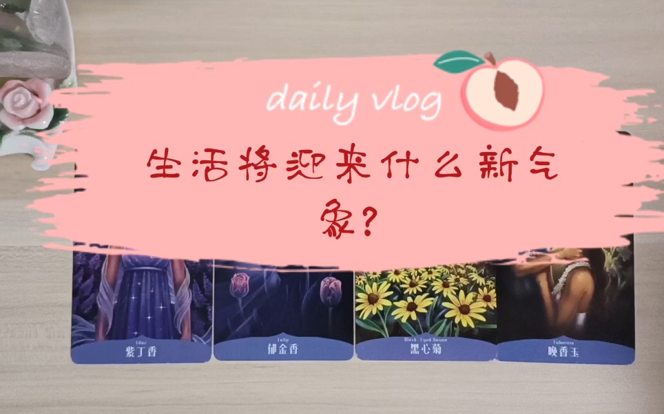 生活将迎来什么新气象?哔哩哔哩bilibili