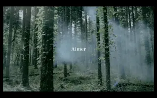 Aimer新专辑 搜索结果 哔哩哔哩弹幕视频网 つロ乾杯 Bilibili