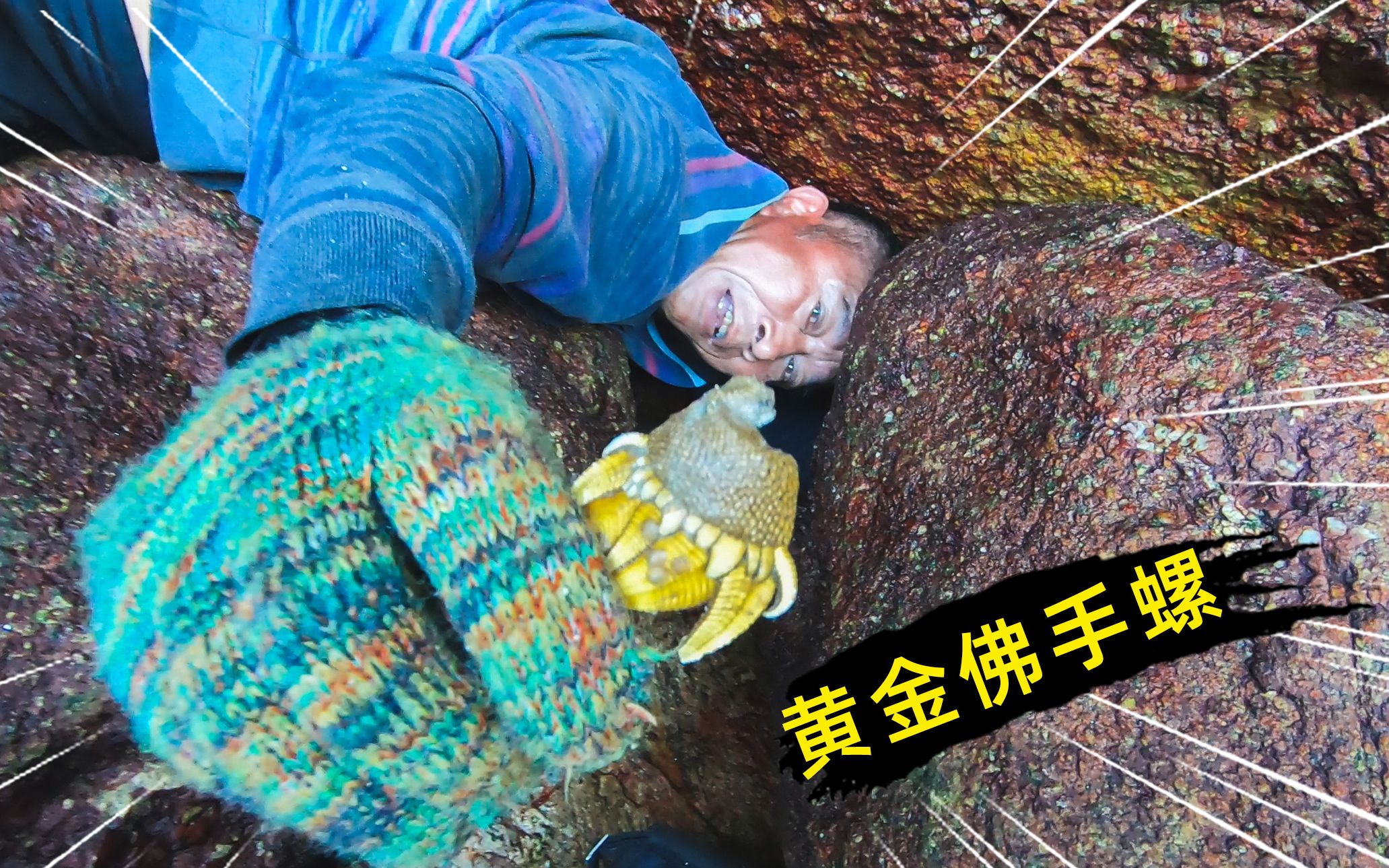 老魏新海域赶海,寻找极品黄金佛手螺,采摘极难据说国外卖到天价