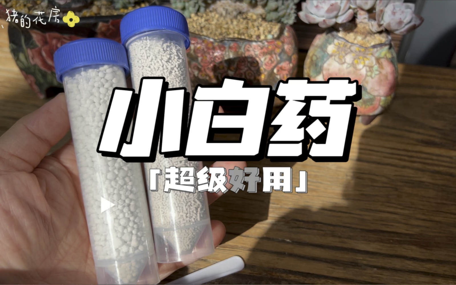 自用好物分享【日本住友园艺DX小白药】|每个肉友都值得拥有,巨好用~哔哩哔哩bilibili