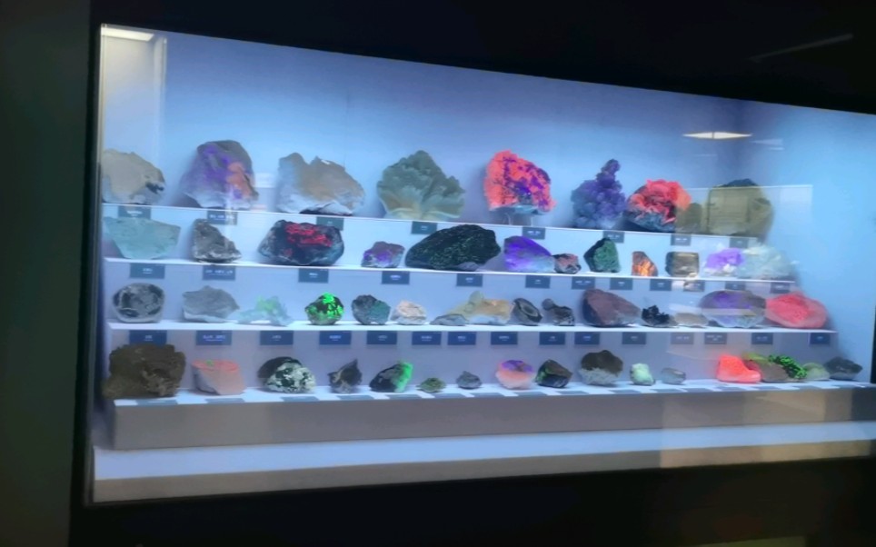 湖南省地质博物馆展厅图片