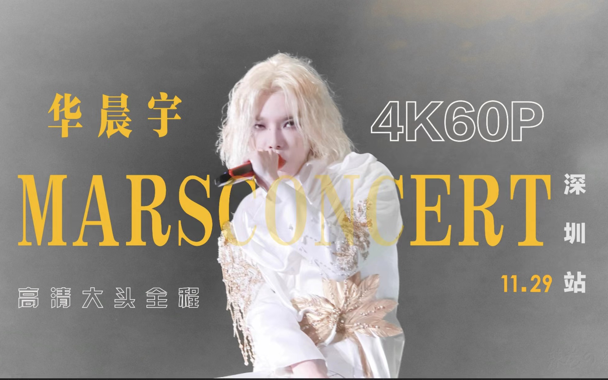 【华晨宇】火星演唱会深圳站Day1高清大头4k60p全程哔哩哔哩bilibili