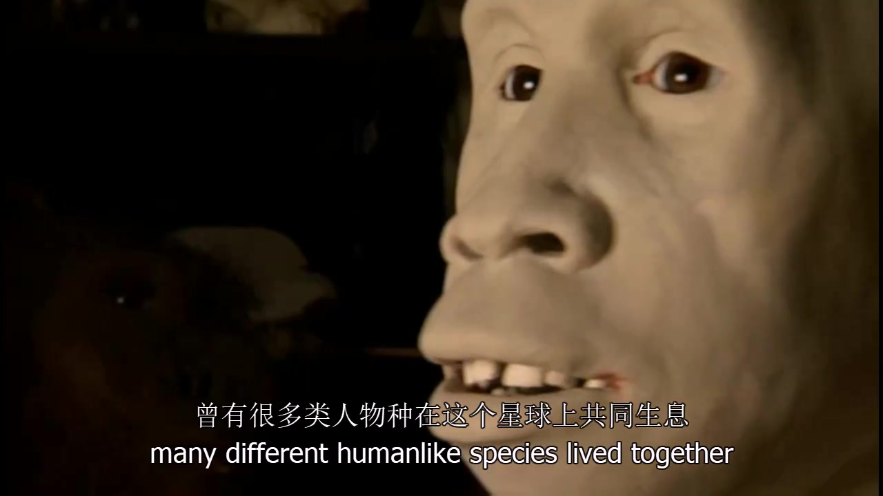 [图]生肉 中英文字幕 PBS 1of3-3of3《人类起源 Becoming Human》