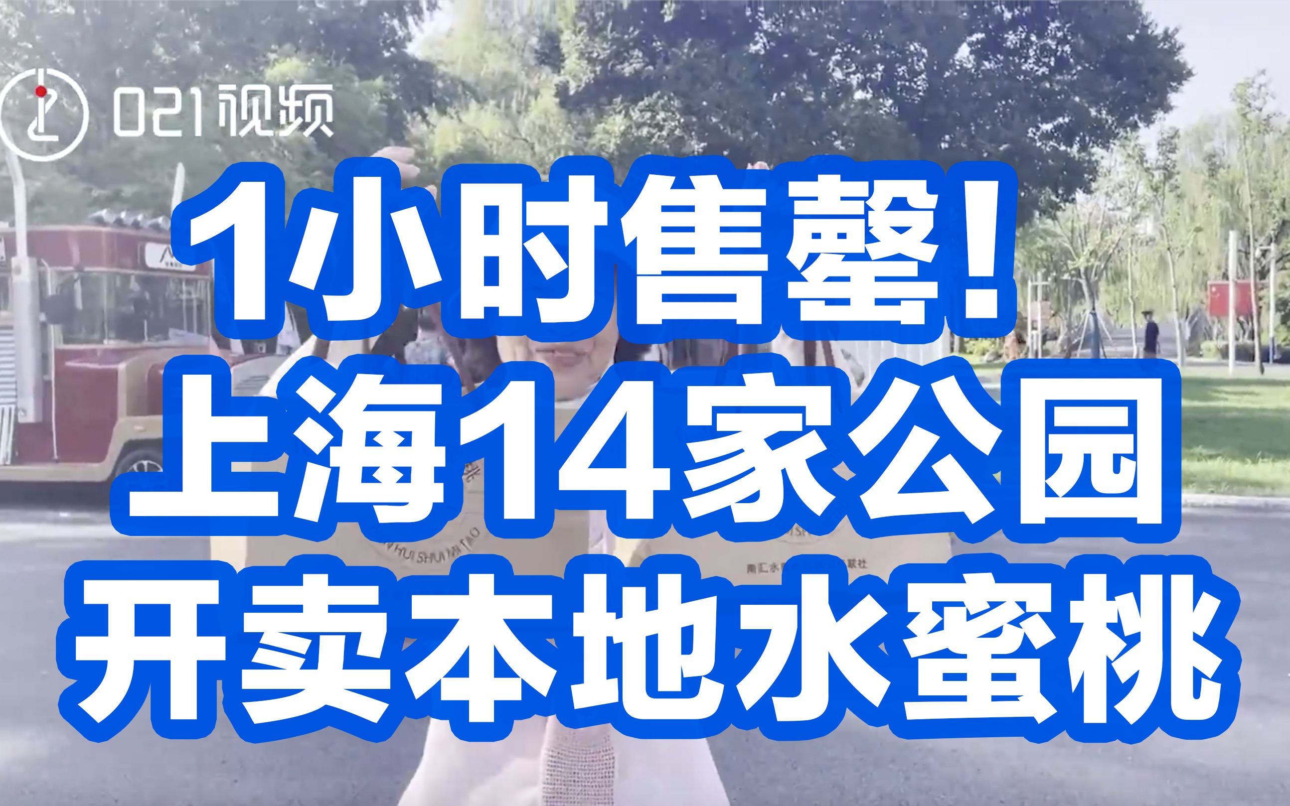 上海14家公园开卖本地水蜜桃,商家:顾客多得不敢想象哔哩哔哩bilibili