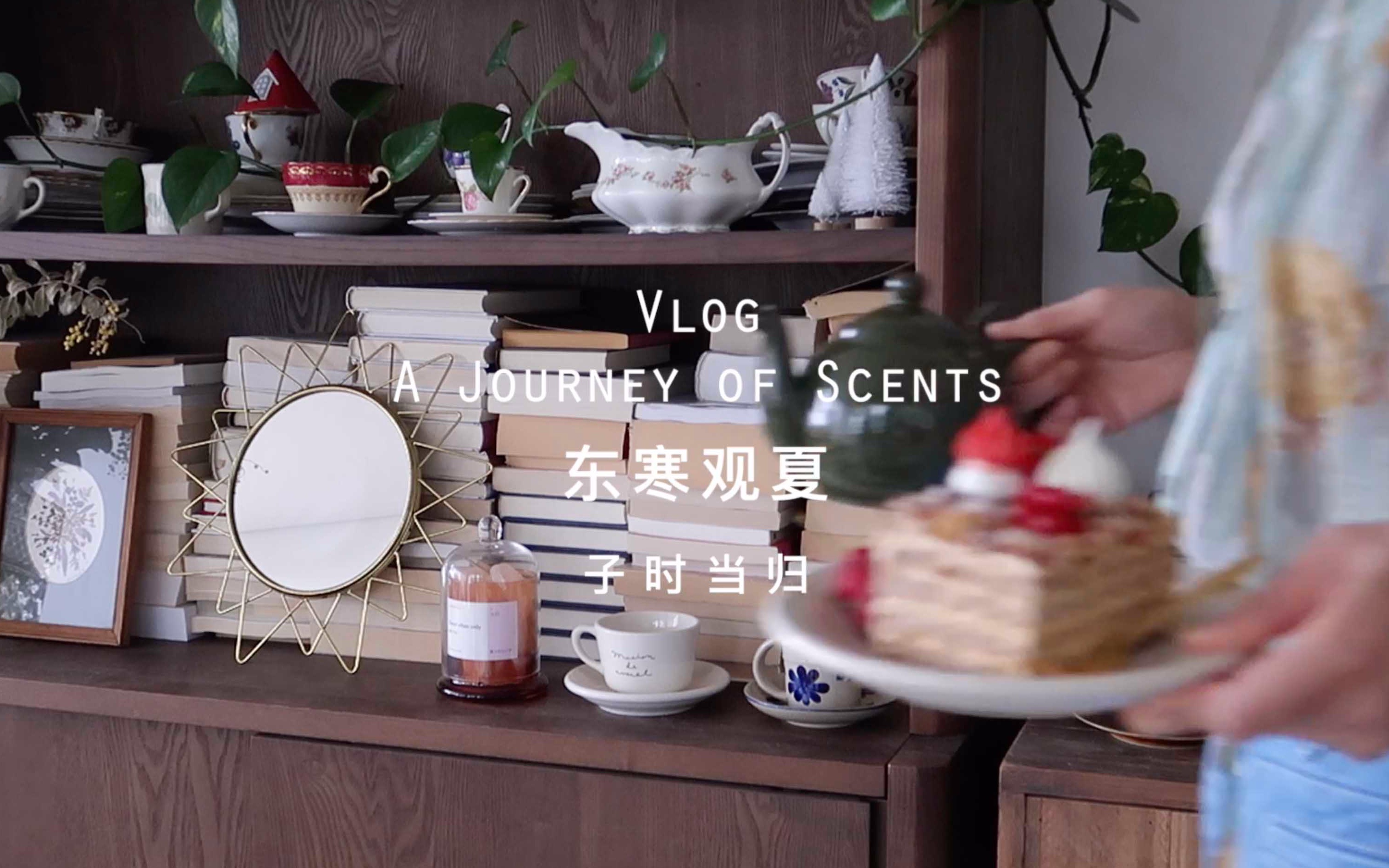 当归Vlog|东寒观夏丨雪后的颐和园丨A Journey of Scents|ft.观夏SUMMER Lab哔哩哔哩bilibili