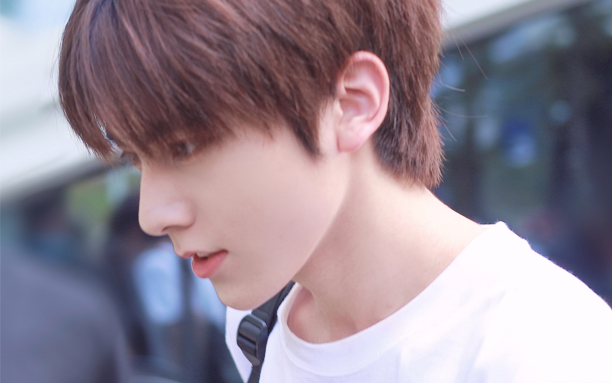 左林杰·纯白少年