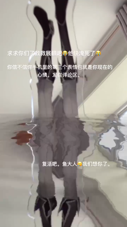 高质的小视频哔哩哔哩bilibili