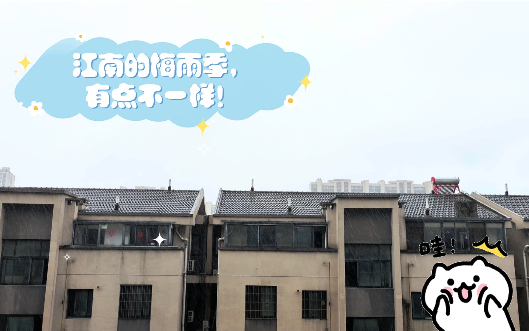 江南的梅雨季,有点不一样!哔哩哔哩bilibili