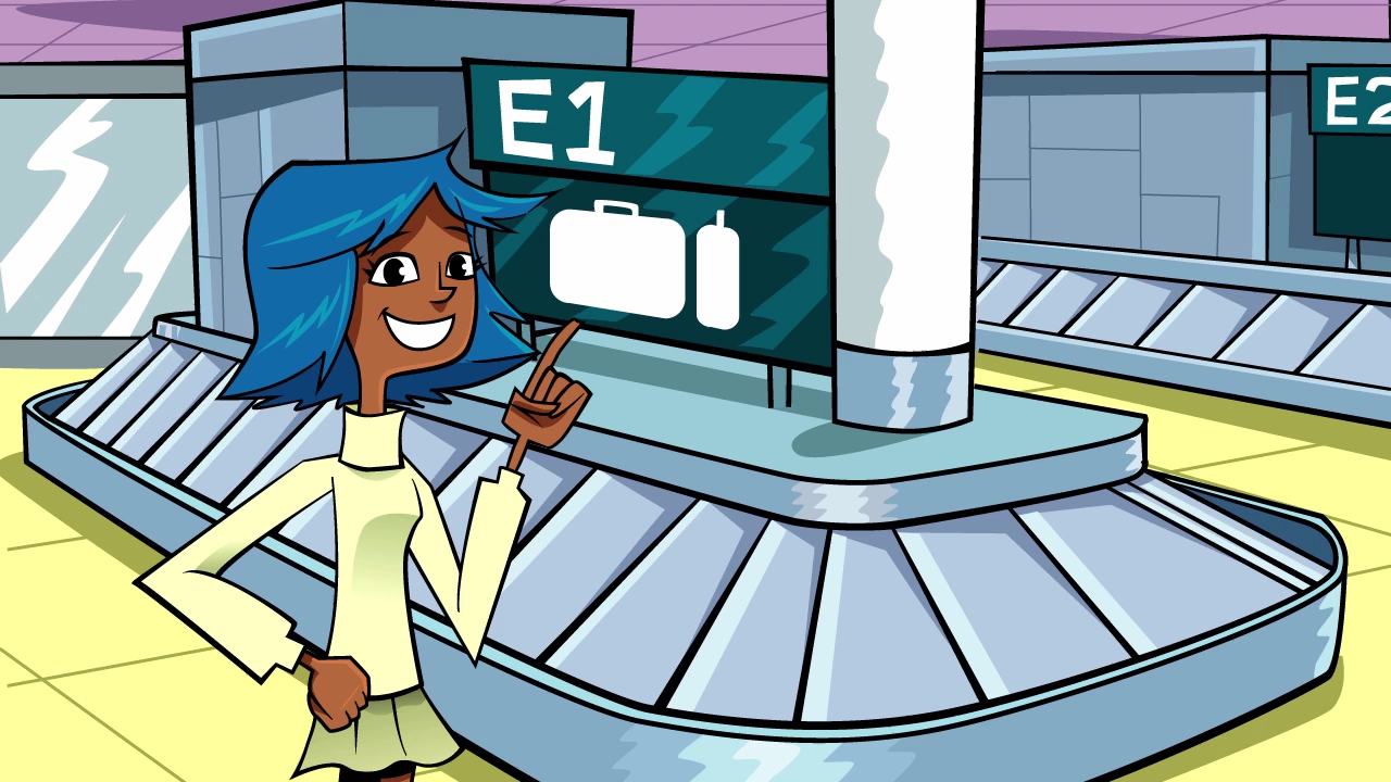 5 baggage travel (behind the scenes at the airport)