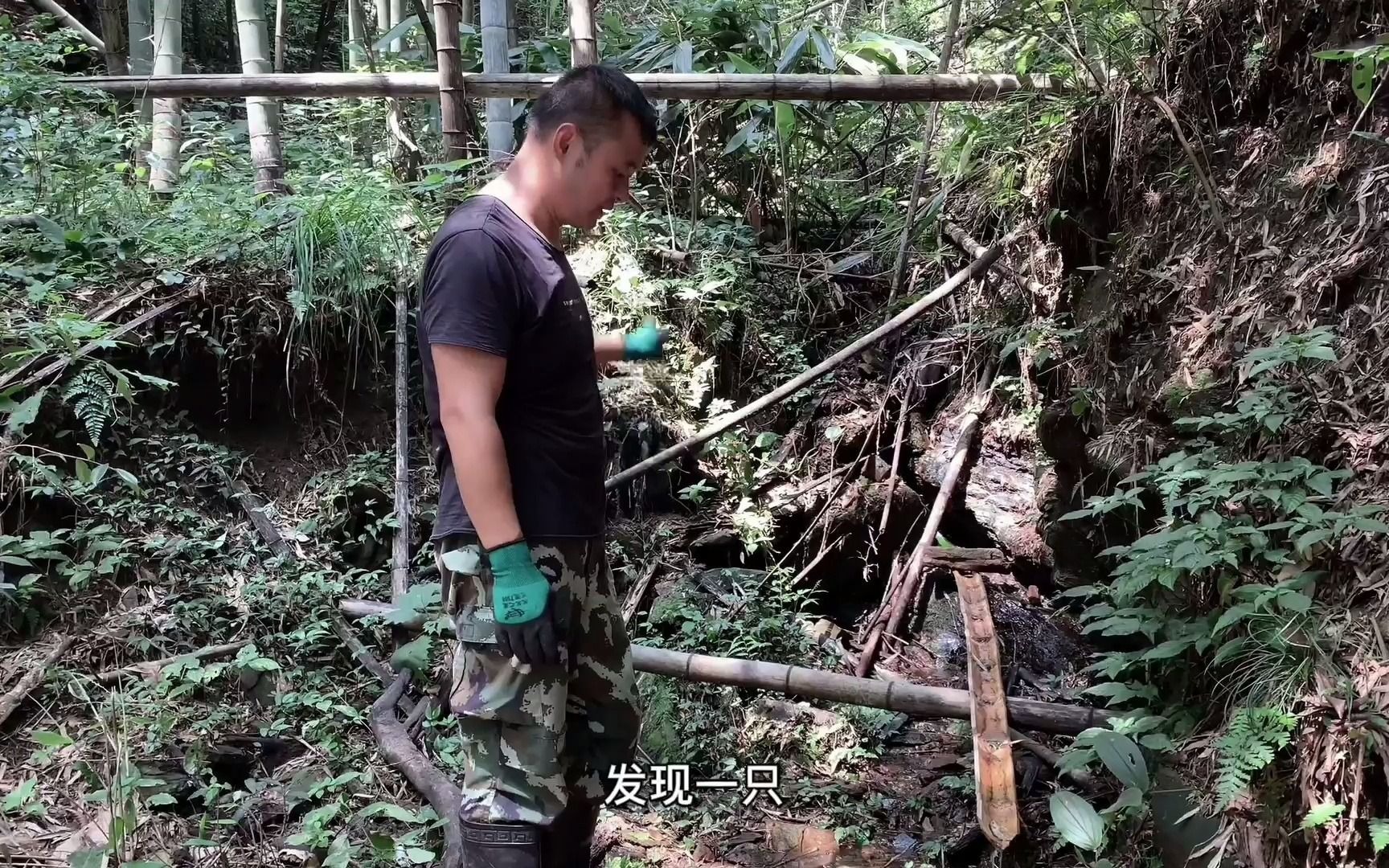 高山挖井(一)清理腐朽灌木,挖土钻石,掩埋腐烂獾猪.哔哩哔哩bilibili