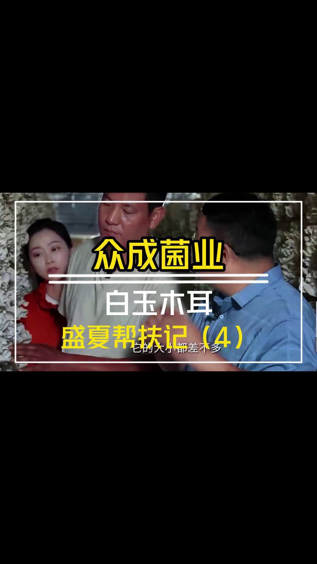 我们永远不会试图说服你,因为好的合作关系,一定是双向奔赴,而不是我们单方面的自我良好.哔哩哔哩bilibili