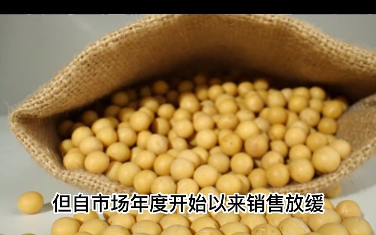 10月28日各地区国产大豆价格汇总哔哩哔哩bilibili