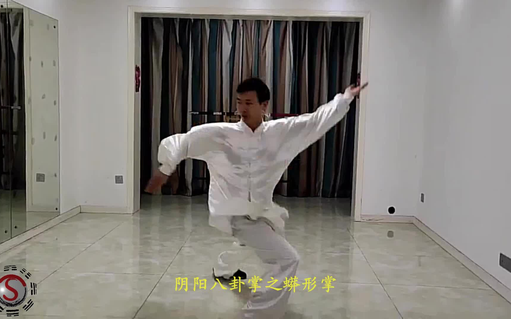 田氏阴阳八卦掌八形套路演练之蟒形掌(上部)