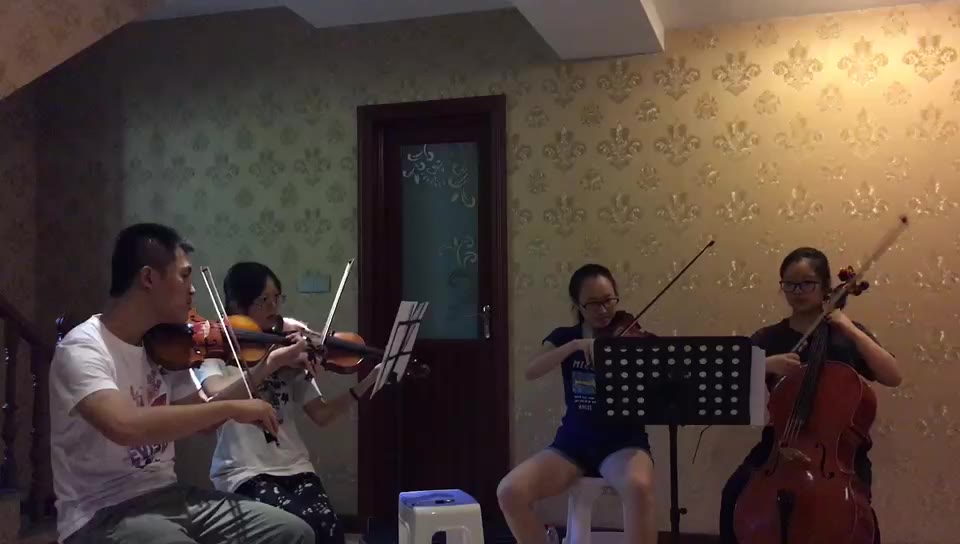 [图][弦乐四重奏]多瑙河之波圆舞曲 排练片段