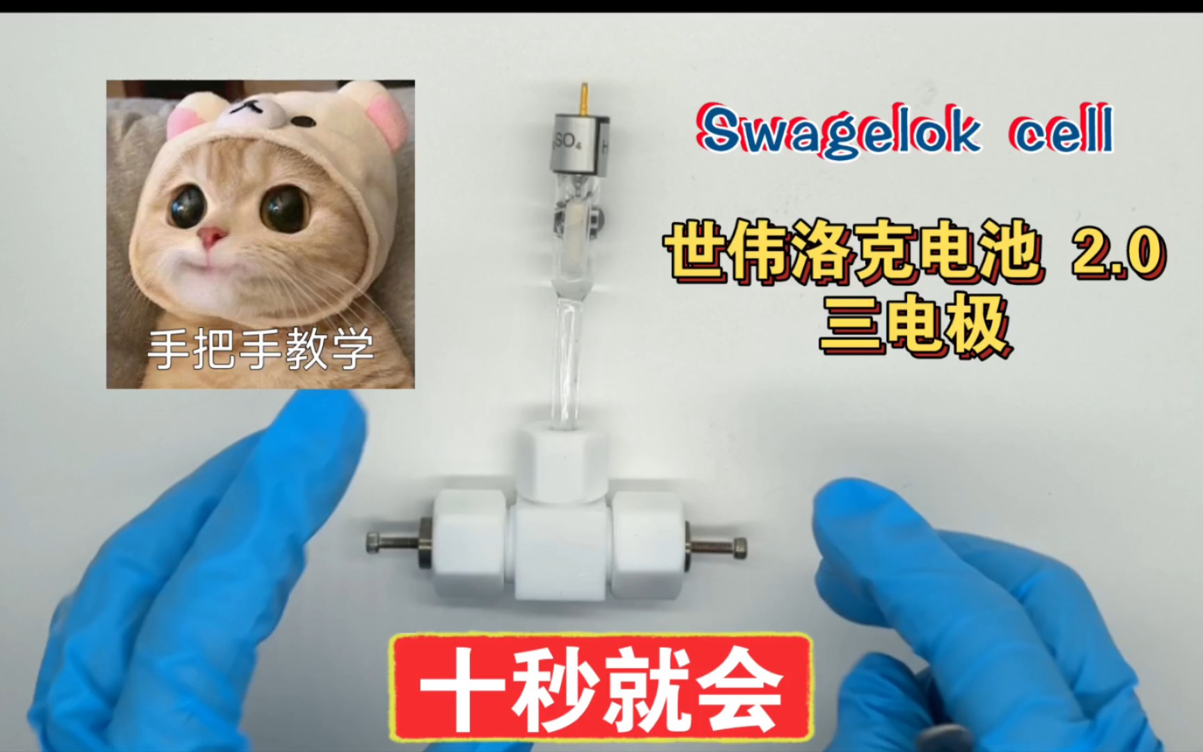 一分钟教会你Swagelok cell三电安装,超级无敌史上最简单教,世伟洛克电池Swagelok cell 三电极2.0加电极片版本,麻溜学起来哔哩哔哩bilibili