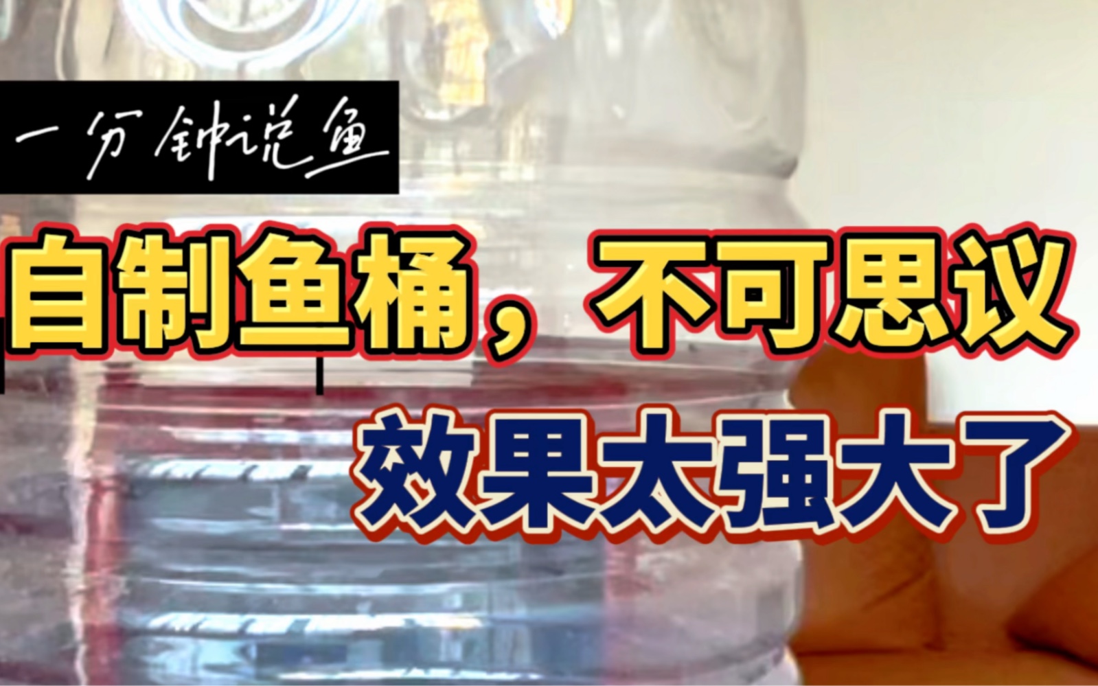 自制鱼桶两小时抓几千条太阳鱼,效果太强大了!一分钟说鱼教你哔哩哔哩bilibili