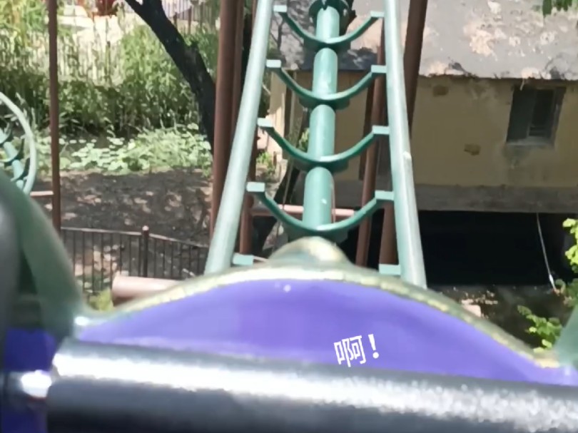 区区过山车,ko no dio.wryyy!