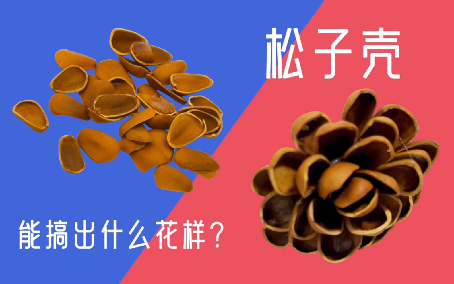 让吃剩下的松子壳妙笔生花,你也来试试吧!