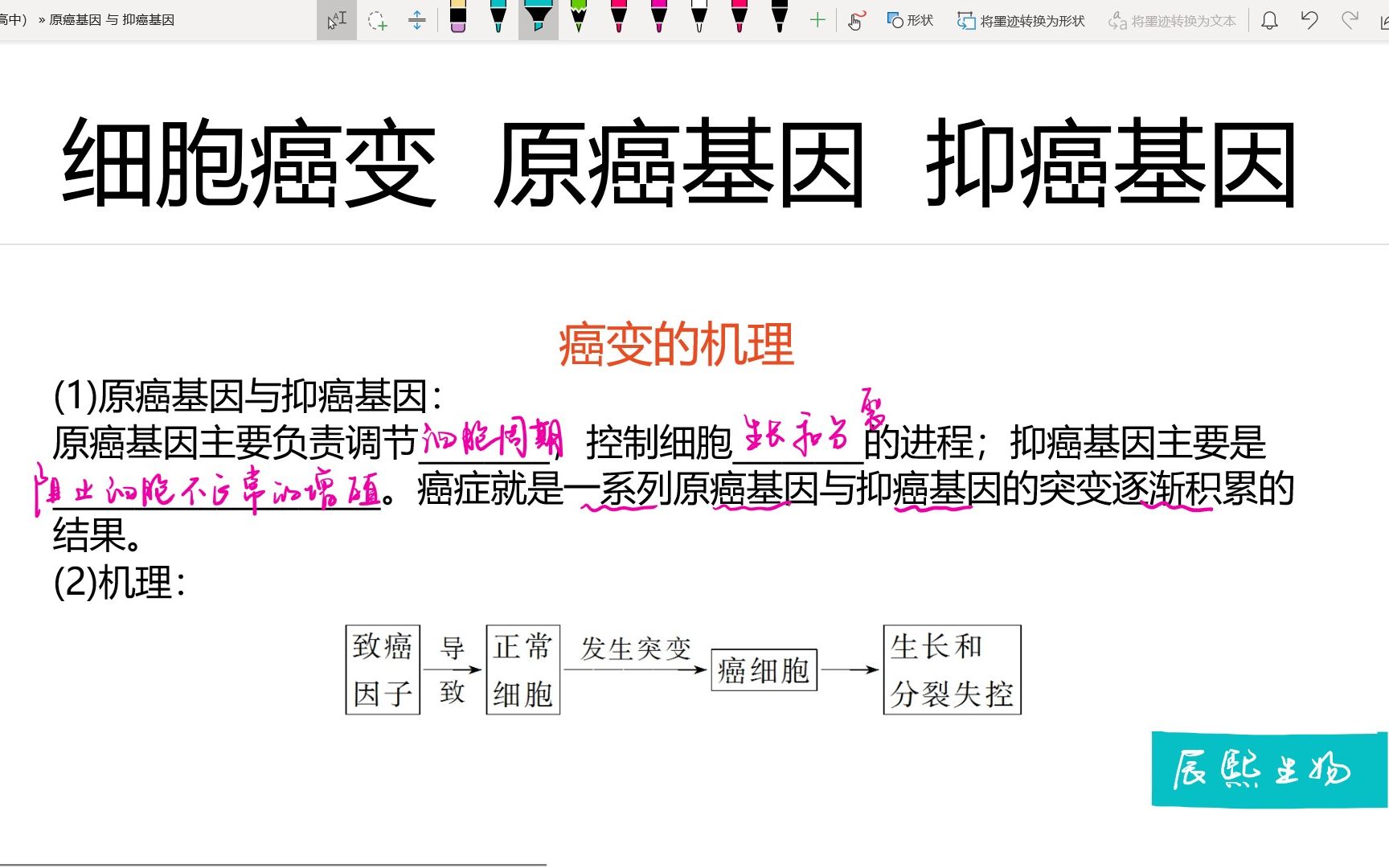 [图]【高中生物】必修一｜细胞癌变——原癌基因、抑癌基因