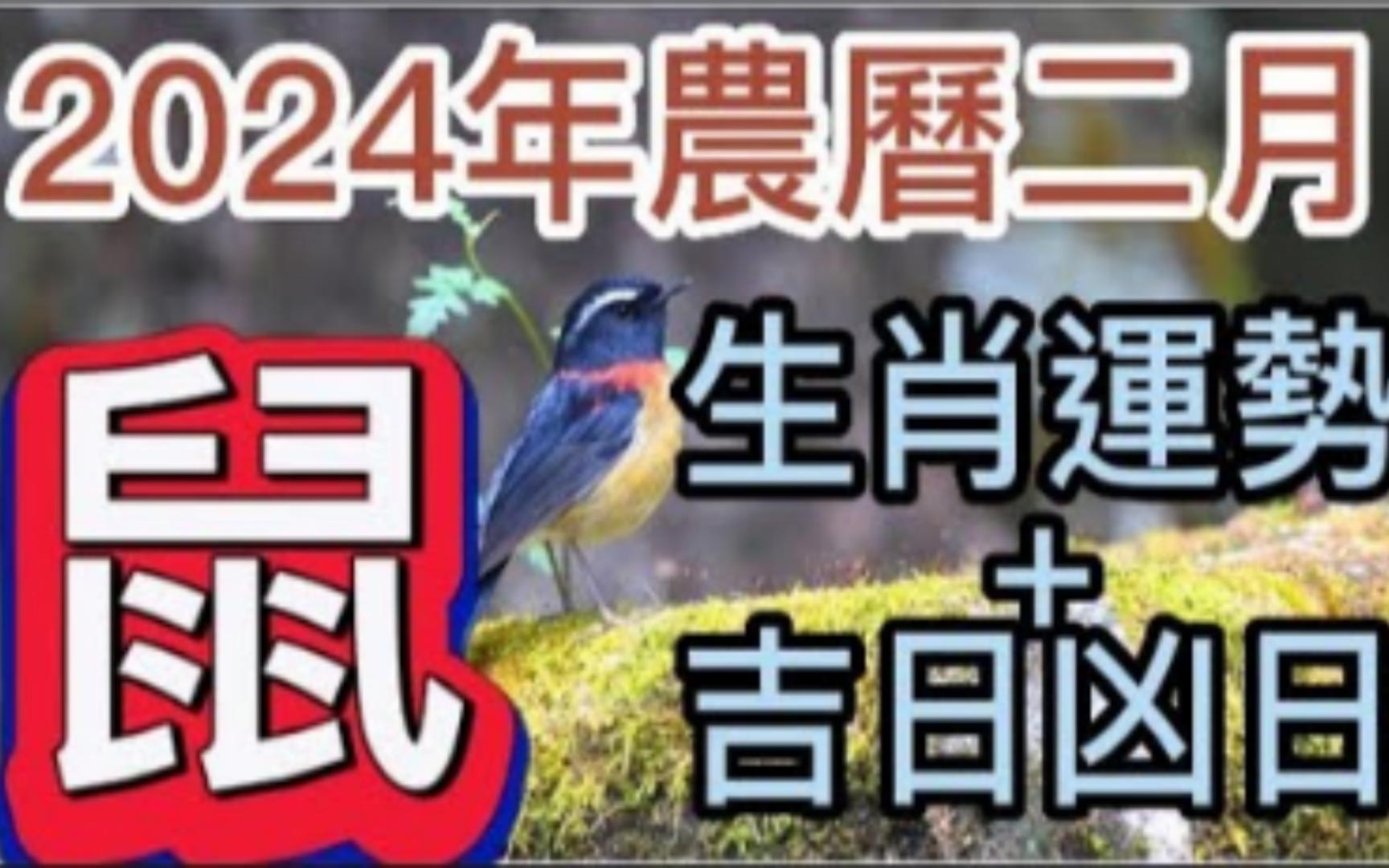 [图]【张古柏】每月运势+吉日凶日2024年农历二月(阳历2024年3月10 日~ 4月8日)生肖—— 鼠