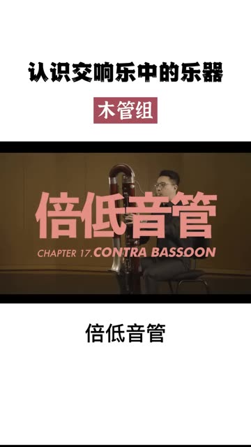 倍低音管(英文名:Contra Bassoon),或者叫倍低音巴松,是乐团中体积最大、声音最低的木管乐器.哔哩哔哩bilibili