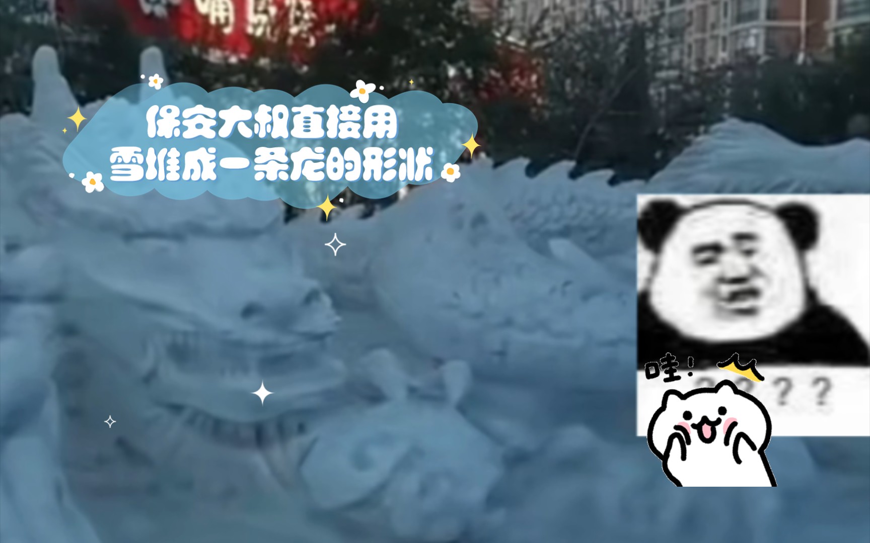 用雪堆龙的图片图片