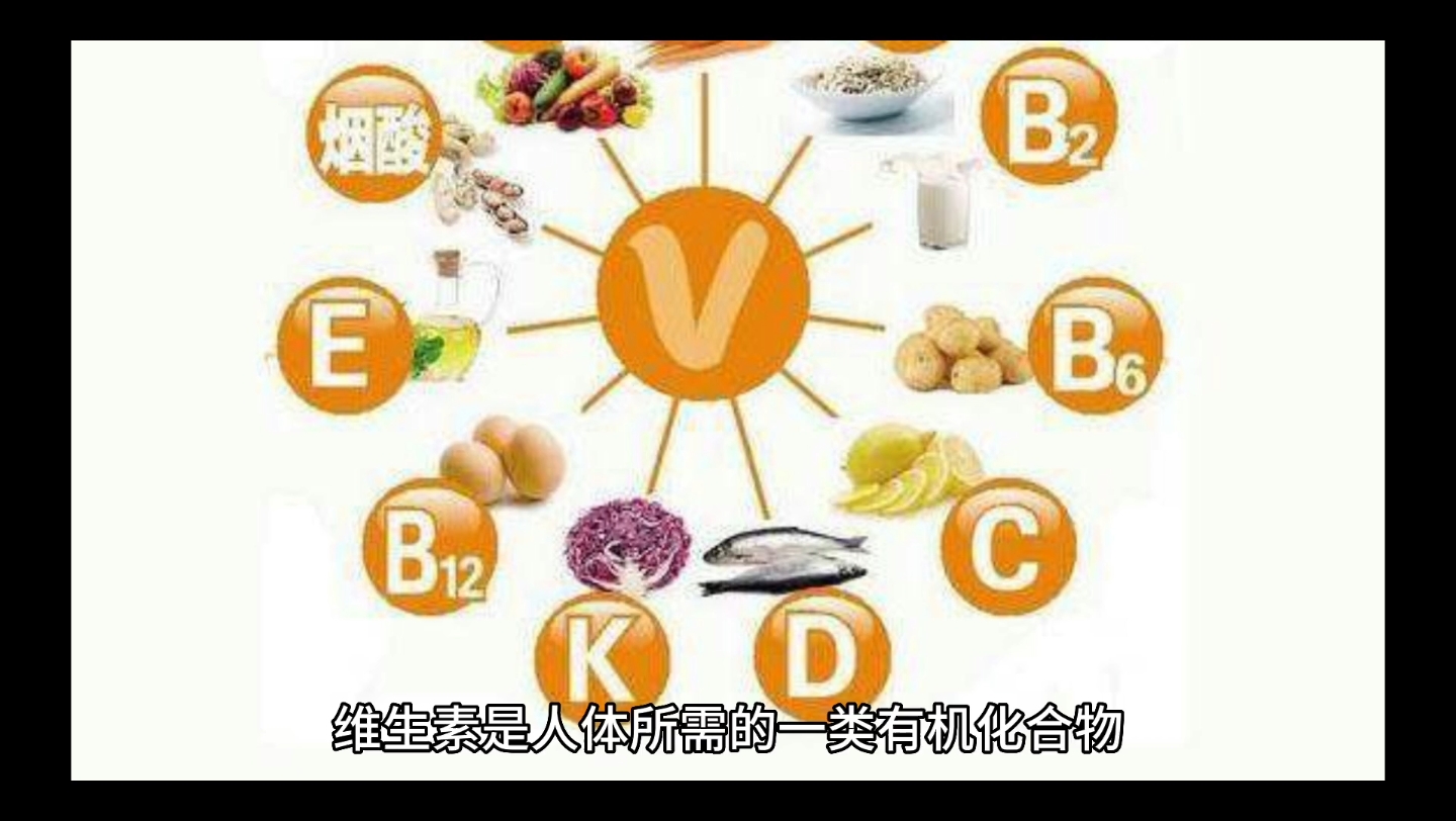 维生素的种类和作用哔哩哔哩bilibili