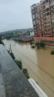 Скачать видео: 今天10点的英德浛洸镇街上，还不知道到最高点没有，两年前的场景还历历在目