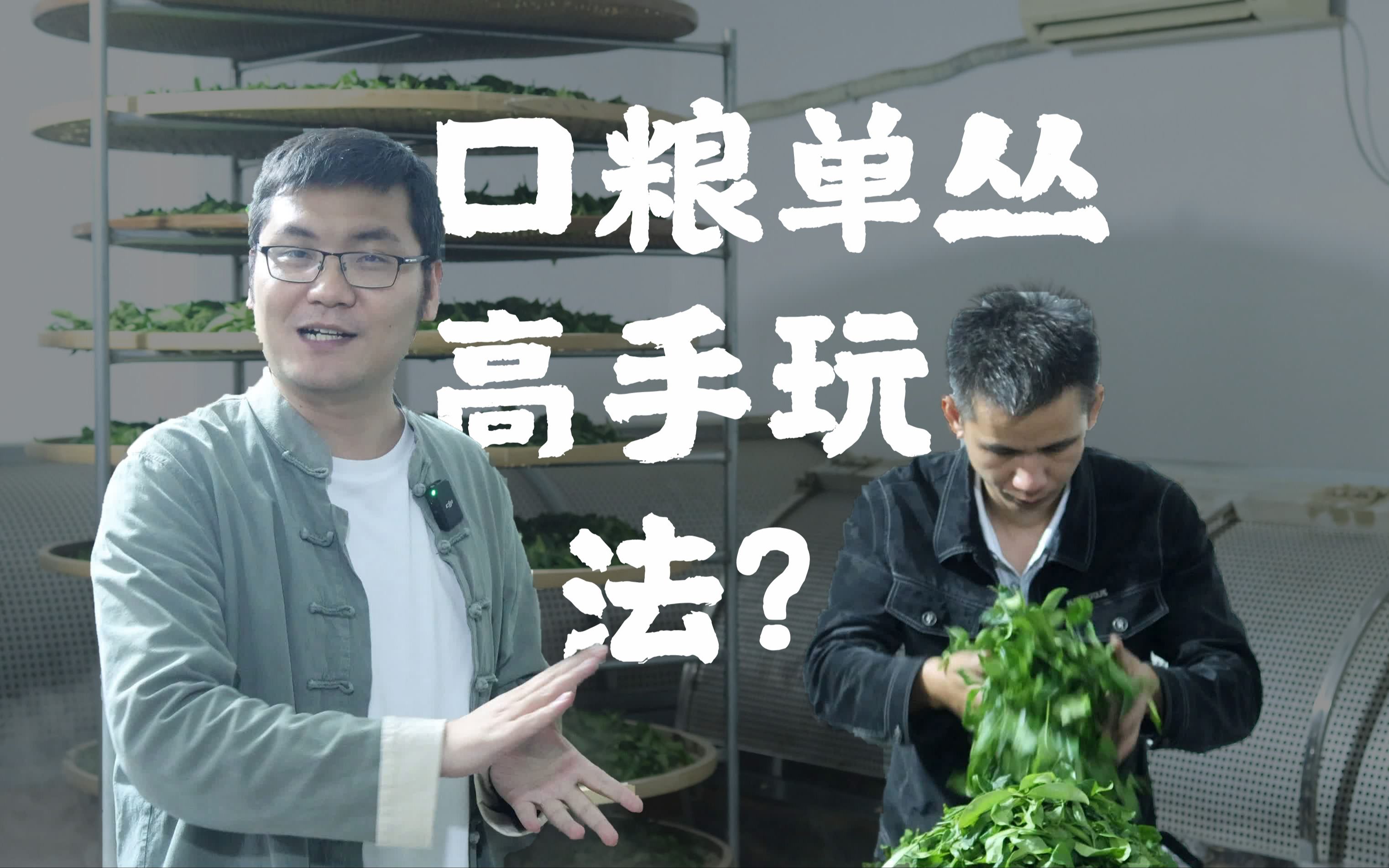 [图]揭秘：用做精品的方式做口粮单丛茶，香喷喷的鸭屎香是怎样炼成的？